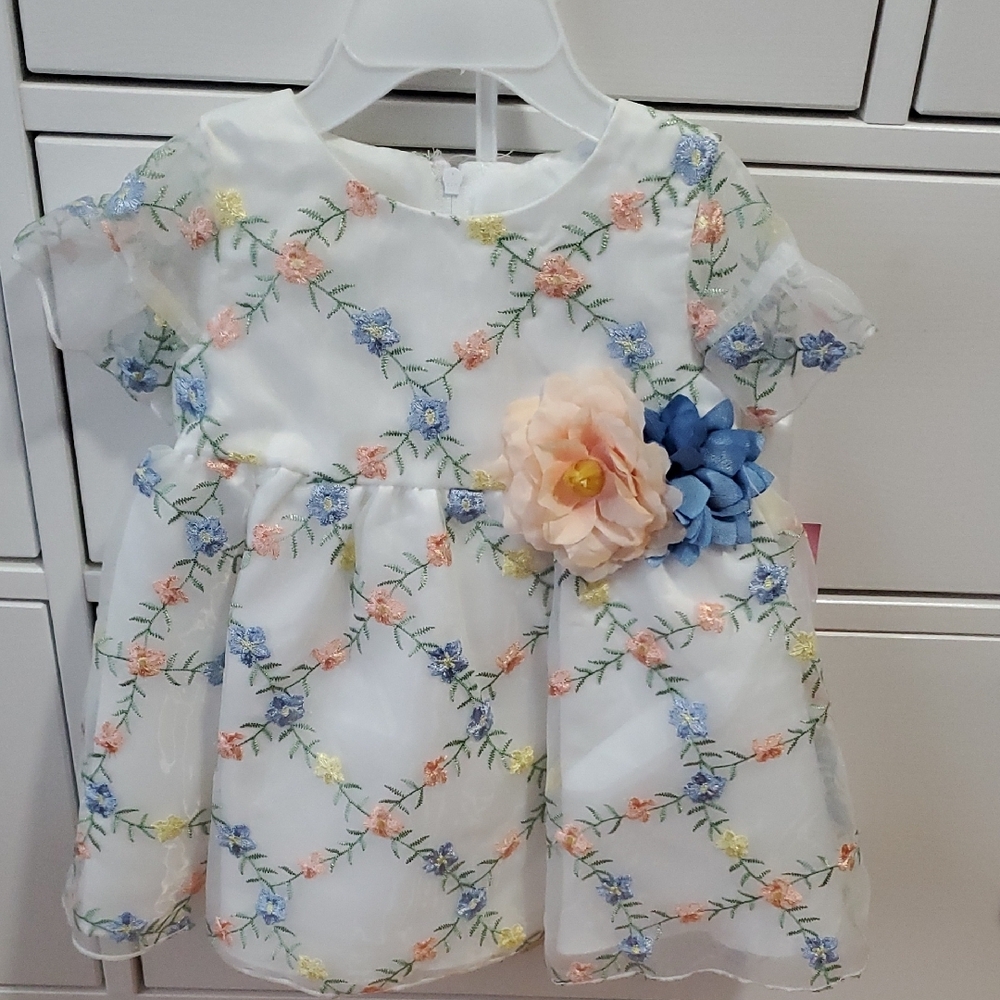 Charming Baby Dress with Floral Embroidery